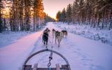 Обзорная экскурсия по Петрозаводску. Посещение заповедника Кивач. Питомник хаски с катанием на собачьей упряжке