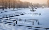 Экскурсии в поселок Янтарный и Светлогорск