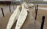 Фото туриста из тура «Горы, море и водопады Кольского полуострова»