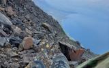 Фото туриста из тура «Тур на озеро Лама. Знакомство с плато Путорана»