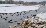 Красноусольск. Пешеходная прогулка с осмотром скалы Уклы-Кая. Завершение тура