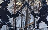 Новогодний Петрозаводск. Этнопарк «Сампо»