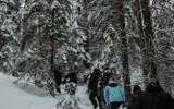 Маршрут по природной тропе