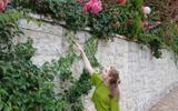 Фото туриста из тура «Вояж в созвездие гор Кавказа»