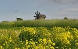 Автобусно-пешеходная экскурсия по Петрозаводску. Остров Кижи