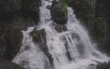 Вода, лошади, пар и тьма