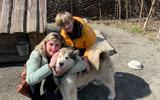 Петрозаводск и этно-парк: хаски с оленями