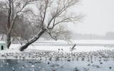 Воскресенье. Загородная экскурсия в Царское Село