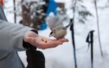 Восхождение на вершину Иремель
