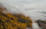 Природа как арт-объект