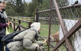 Фото туриста из тура «Большое путешествие по Смоленской земле»