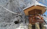 Гостевой дом «У горы»