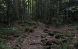 Фото туриста из тура «Летний экскурсионный тур по Адыгее»