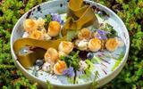 Мурманск, мастер-класс по арктической кухне, сафари на снегоходах и охота на северное сияние