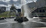 Фото туриста из тура «Праздник фонтанов в Петергофе»