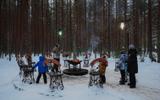 В гости к Деду Морозу. Сокращенный тур в Великий Устюг