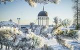 Новогодний Петрозаводск