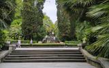 Фото-прогулка по центру Сочи. Дендрарий