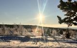 Экскурсия по окрестностям курорта Белокуриха - Места Силы