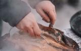 Снегоходное сафари по острову Риеккалансаари и окрестностям