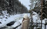 Знакомство с шунгитом. Водопада Кивач и дендрарий. Остановка у горы «Сампо»