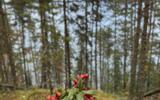 Фото туриста из тура «»
