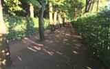 Автобусная экскурсия «Сады и парки Петербурга» с посещением Летнего сада. Посещение Эрмитажа
