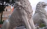 Фото туриста из тура «»