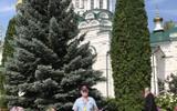 Фото туриста из тура «»