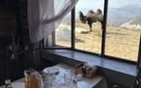 Фото туриста из тура «Дагестан на максимум. Вcё включено»