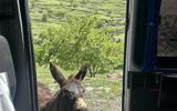 Фото туриста из тура «Рассвет в горах Дагестана. Все включено»