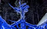 Сафари на снегоходах. В гости к Мьеликки