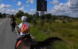 Фото туриста из тура «Конное путешествие в край лесных озер в Ивановской области»