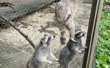 Купание в бассейнах с геотермальной водой. Экскурсия в Хаджохскую теснину