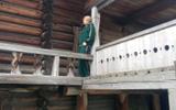 Фото туриста из тура «Краски Карелии: Кижи, Валаам, Рускеала и Кивач за 3 дня»