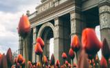 Я шагаю по Москве. Экскурсионный тур на 6 дней
