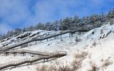 Зимний тур в Красноярск