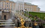 Фото туриста из тура «Классический летний Петербург на 5 дней»
