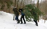 Поход-квест «За Новогодней елкой». Новогодняя программа