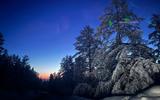 Природа