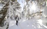 Радиальный поход по урочищу Курджипс, катание на санках