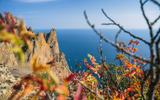 Краски осеннего Крыма