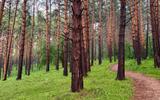 Фото туриста из тура «»
