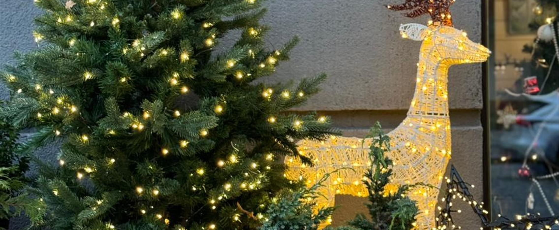 Новый год по-калининградски