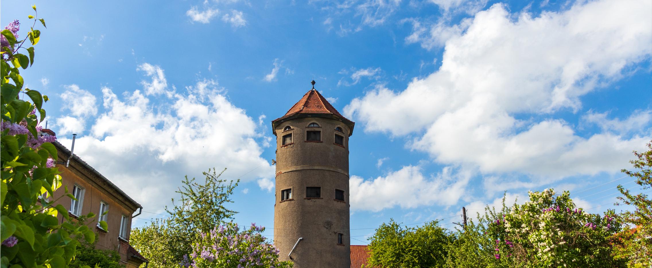 АмберЛэнд. Тур по Калининградской области