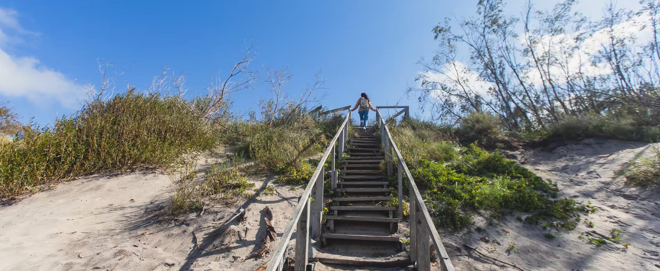 Страна Янтария. Экскурсионный тур по Калининградской области