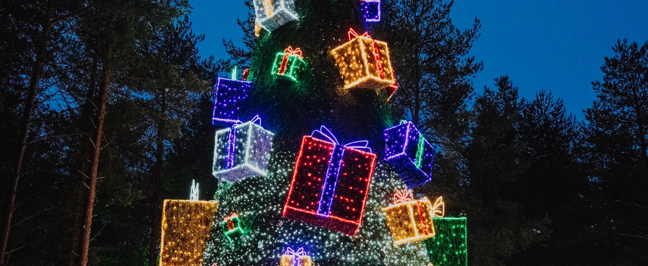 Новый год в гостях у Деда Мороза. Сборный тур в Великий Устюг