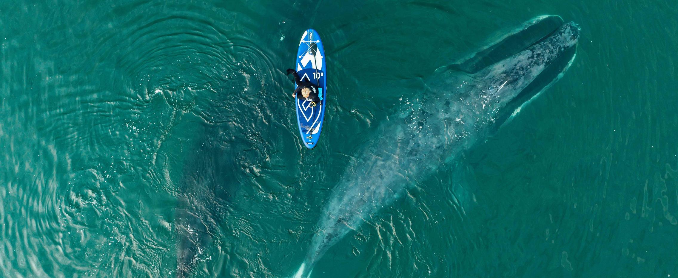 Шантарские острова — архипелаг открытий