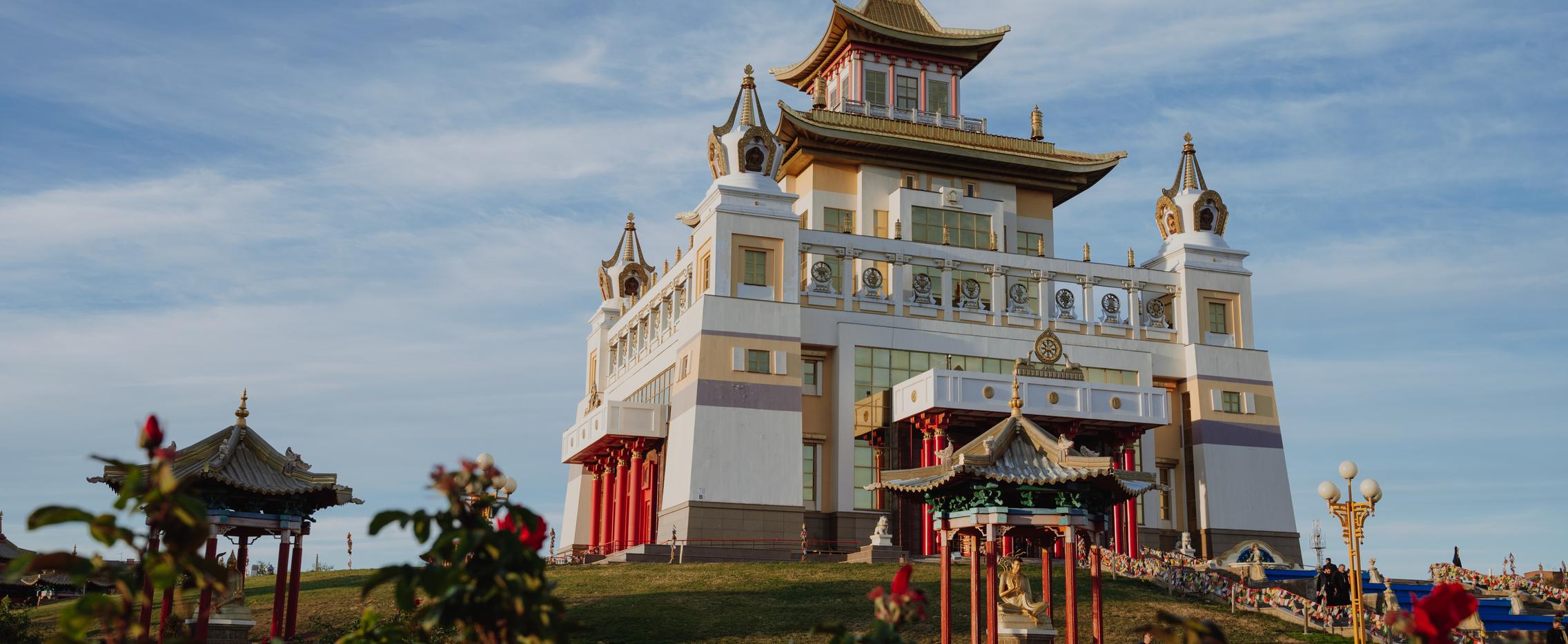 Тюльпановая Калмыкия. Сокращенная программа