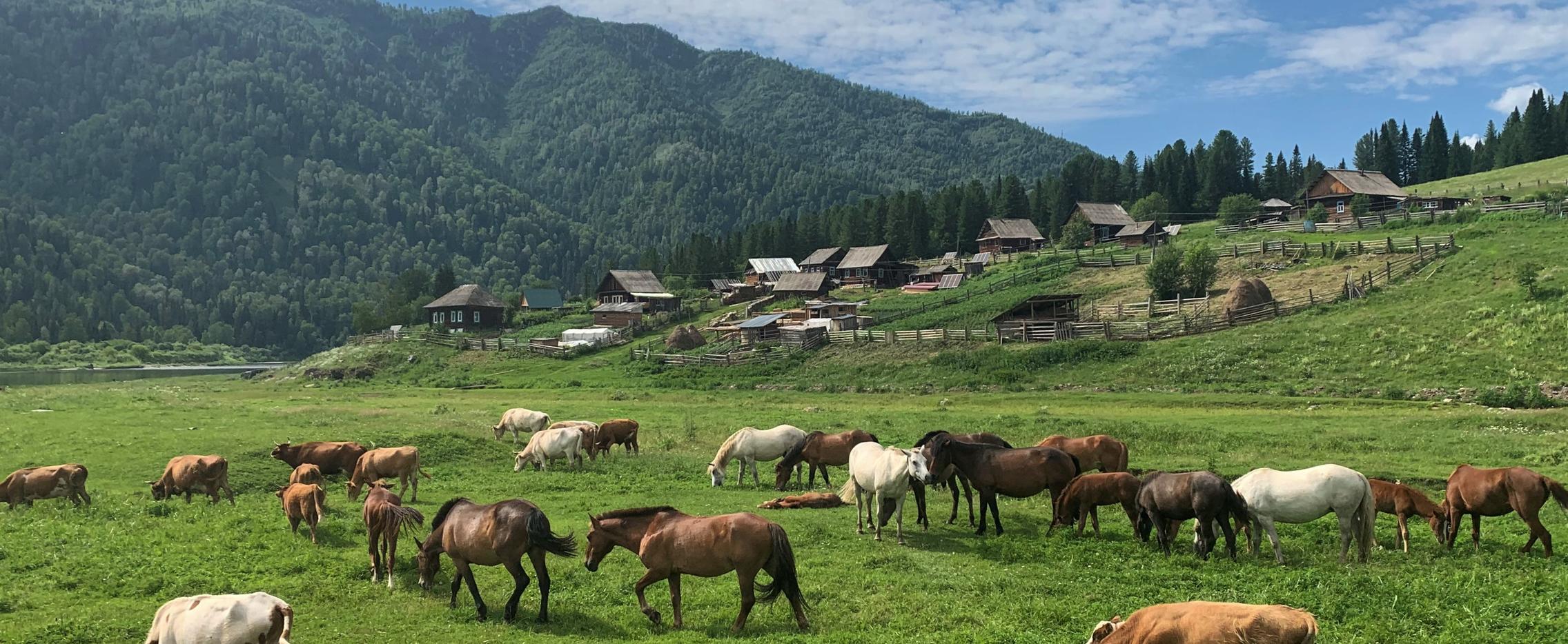 Горная Шория. Экскурсионный тур к детям тайги